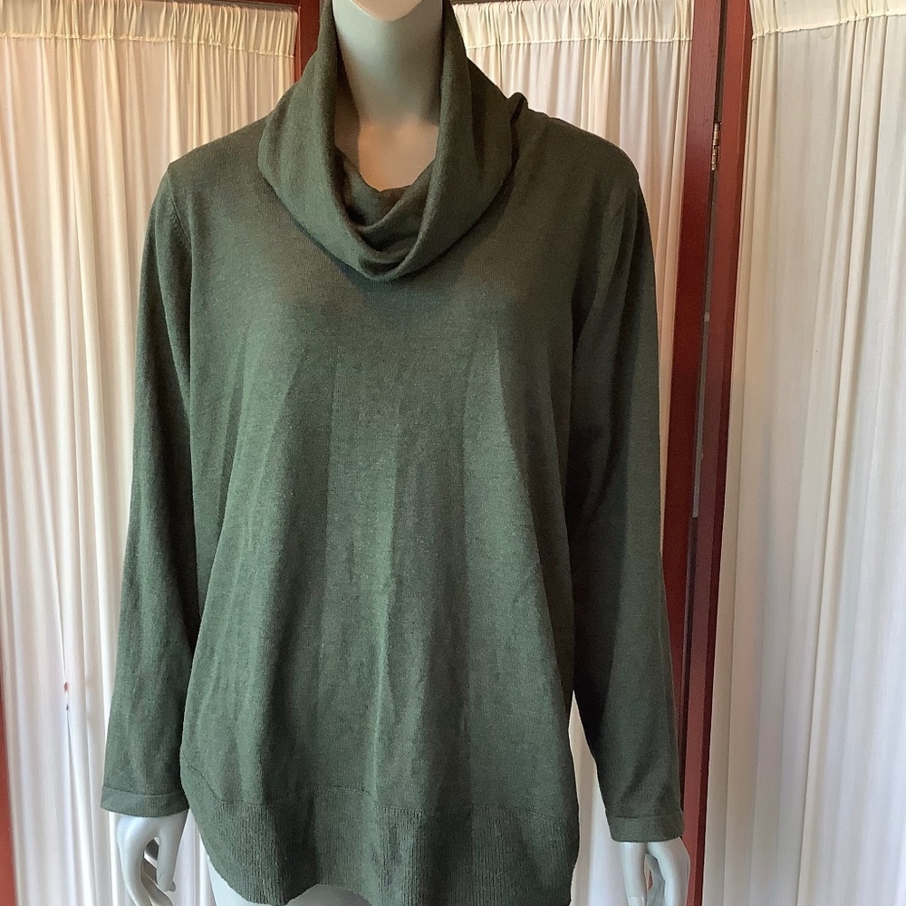 Cyrus Cowl Neck Sweater Womens 1X Green Knit Pullover Relaxed Stretch